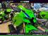 Kawasaki Ninja 1000 ZX-10R 40th Anniversary Edition (2024) (6)