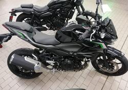 Kawasaki Z 500 (2024 - 25) usata