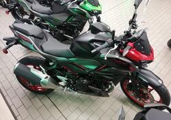 Kawasaki Z 500 SE (2024 - 25) usata