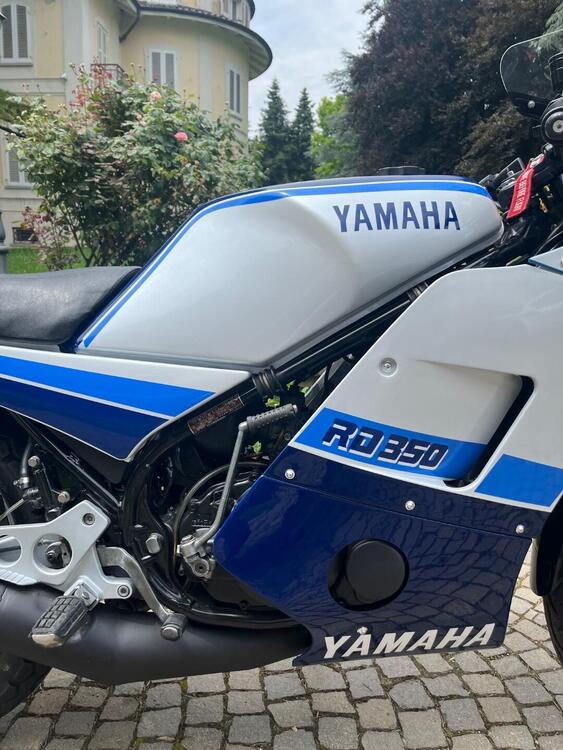 Yamaha RD 350 K31 F (4)