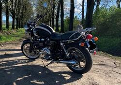 Triumph Bonneville SE (2009 - 13) usata