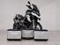 Bmw R 1200 GS (2013 - 16) (6)