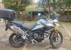 Triumph Tiger 900 Rally Pro (2020 - 23) usata