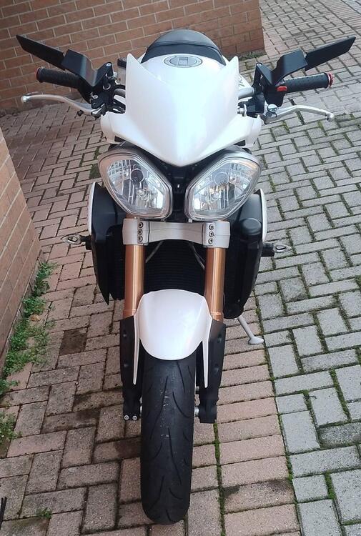 Triumph Speed Triple 1050 ABS (2011 - 15) (3)