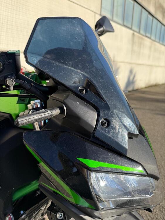 Kawasaki Z 650 (2021 - 24) (2)