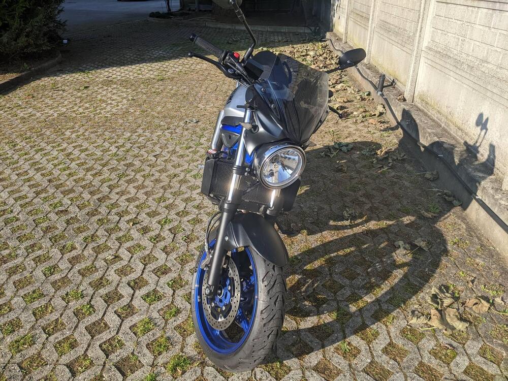 Suzuki SV 650 (2016 - 20) (3)