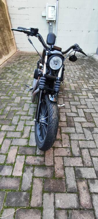 Harley-Davidson 883 Custom (2008 - 12) - XL 883C (2)