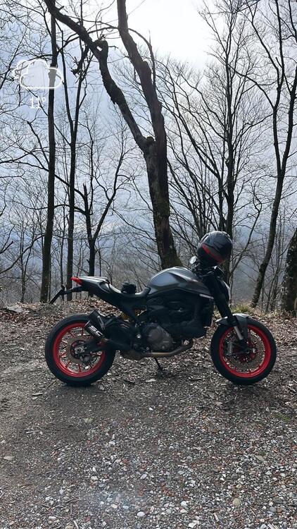 Ducati Monster 937 (2021 - 25)