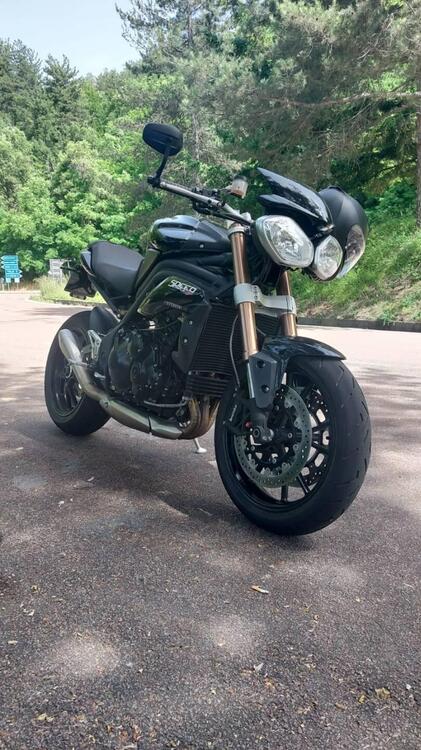 Triumph Speed Triple 1050 (2011 - 13) (4)