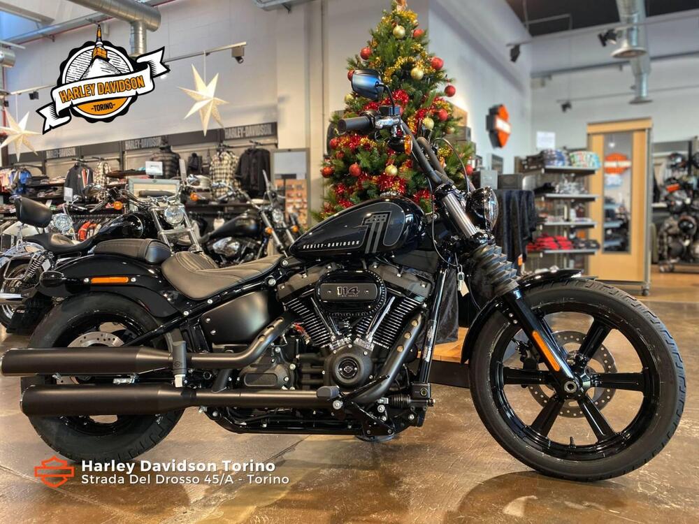 Harley-Davidson Street Bob 114 (2021 - 25)