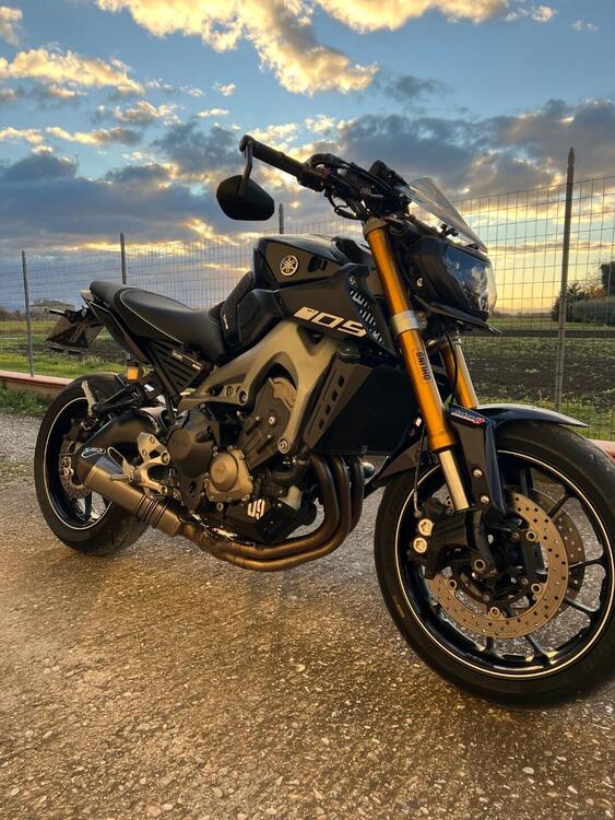 Yamaha MT-09 (2013 - 15) (2)