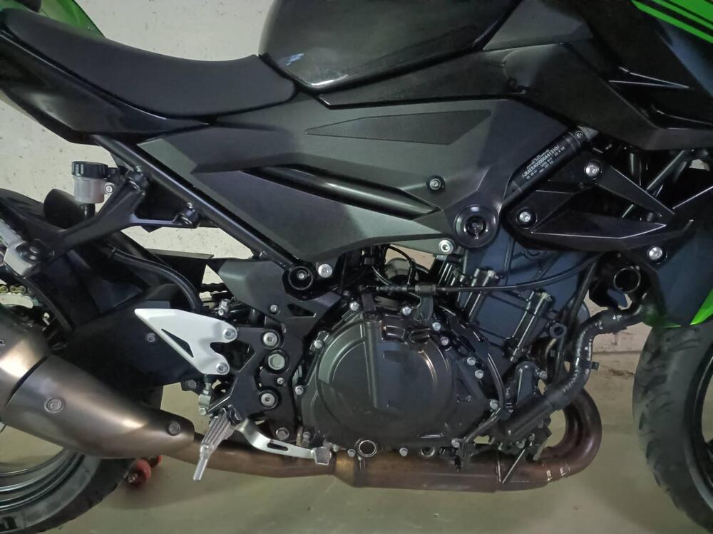 Kawasaki Z 400 (2019 - 20) (3)