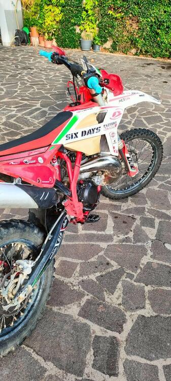 Betamotor RR 250 2T Enduro Racing (2023) (2)