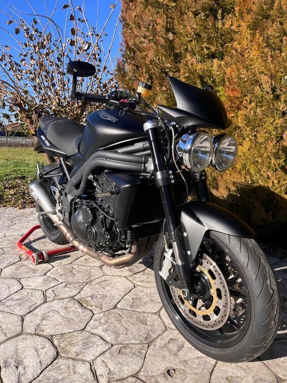 Triumph Speed Triple 1050 (2005 - 11) (3)