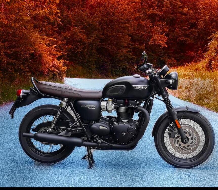 Triumph Bonneville T120 (2016 - 20) (4)