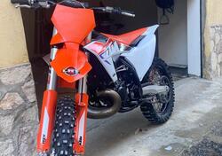 KTM SX 300 (2023) usata