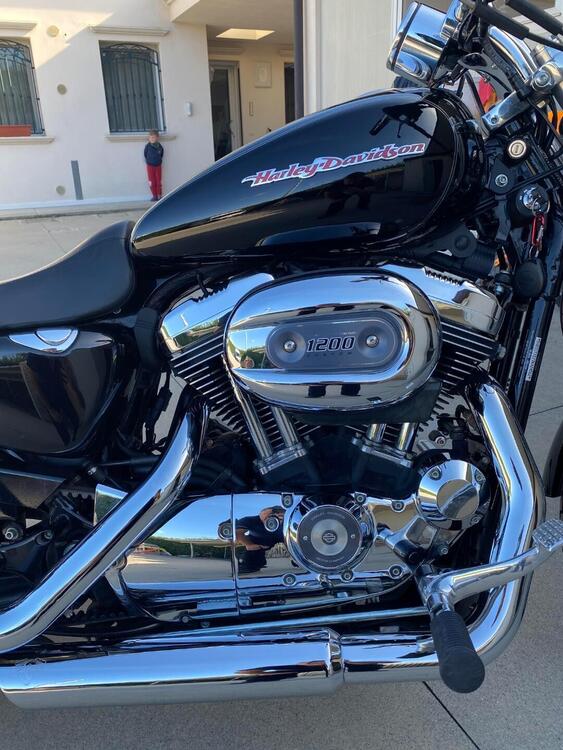 Harley-Davidson 1200 Custom (2007 - 13) - XL 1200C (3)