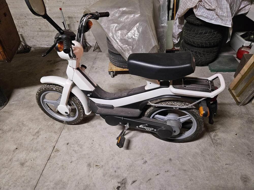 Piaggio Grillo (3)