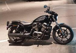 Harley-Davidson Nightster (2023 - 25) usata