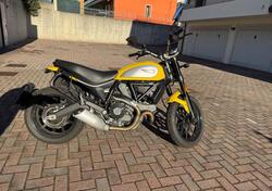 Ducati Scrambler 800 Icon (2017 - 20) usata