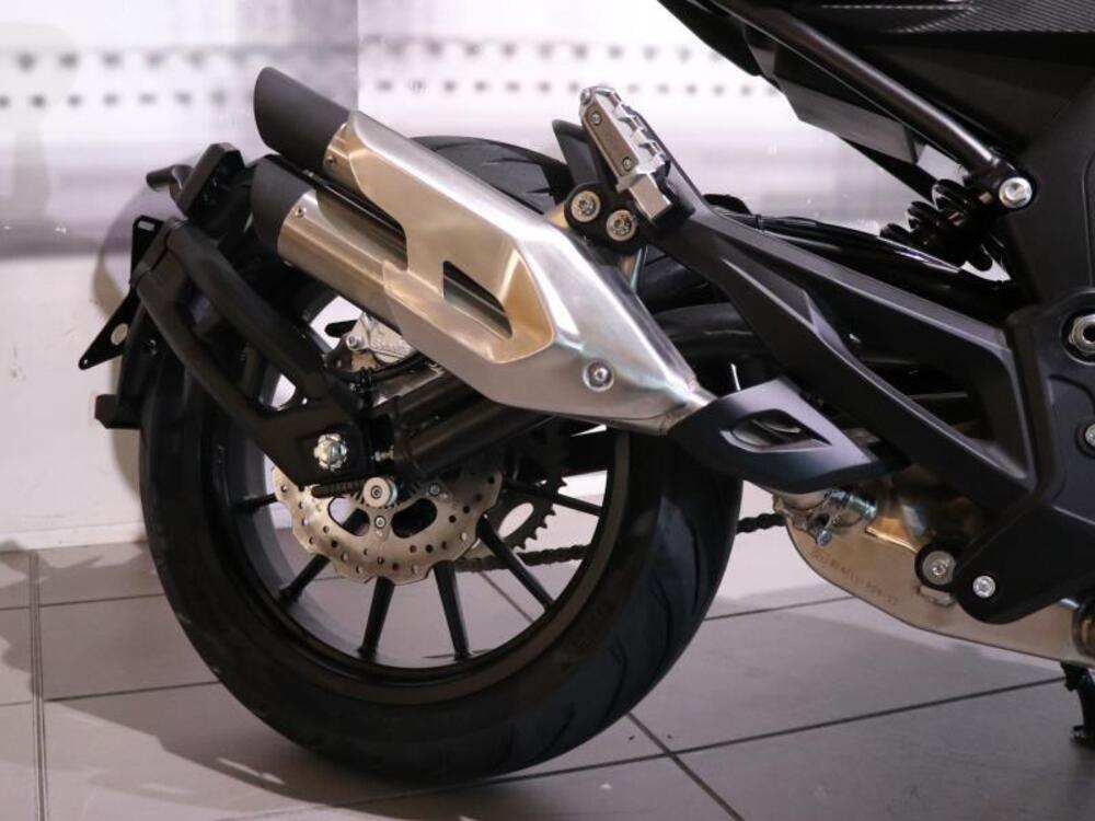 Benelli 502 C (2021 - 25) (4)