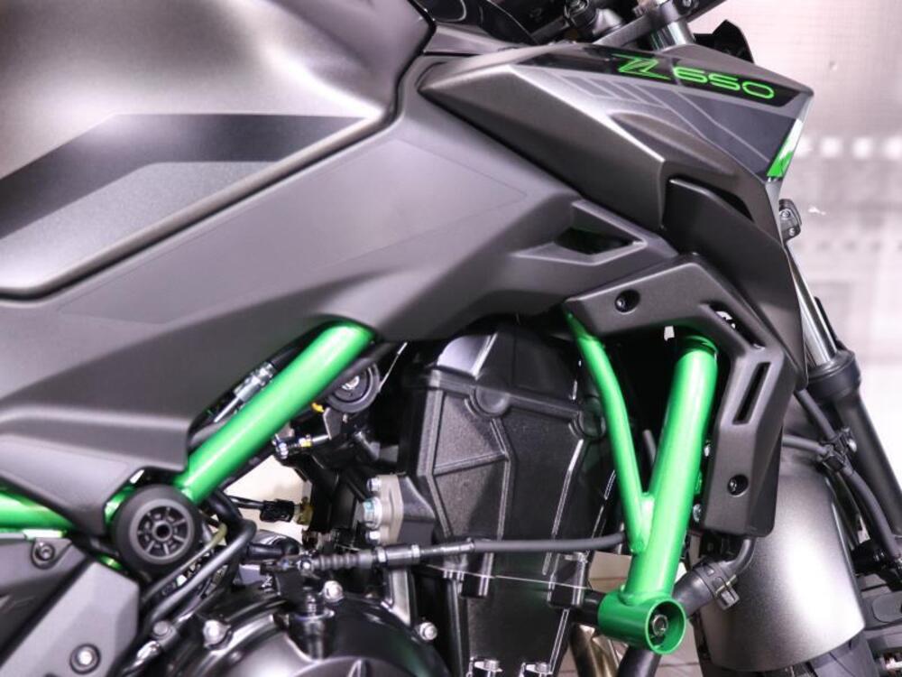 Kawasaki Z 650 (2021 - 24) (5)