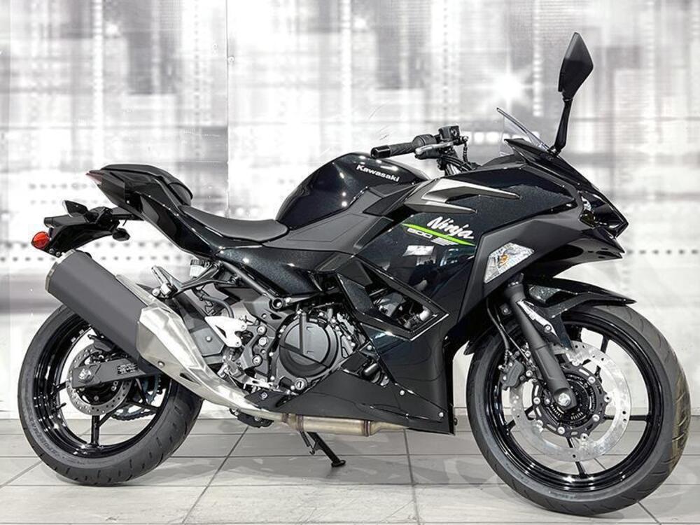 Kawasaki Ninja 500 (2024 - 25)