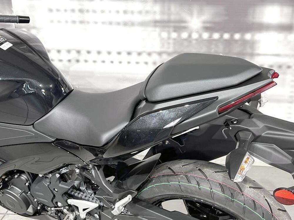 Kawasaki Ninja 500 (2024 - 25) (4)