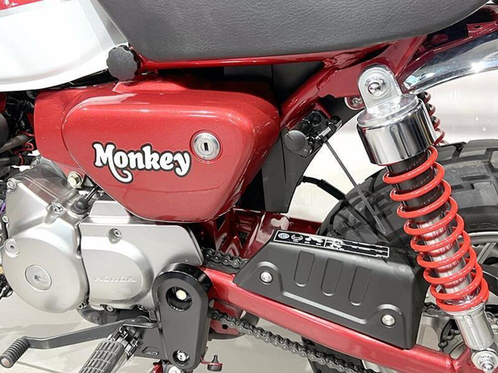 Honda Monkey 125 (2018 - 20) (5)