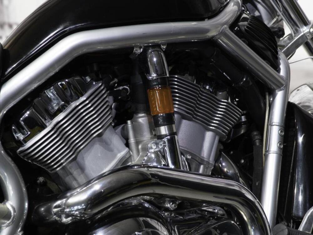 Harley-Davidson 1130 V-Rod (2006) - VRSCA (4)