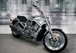 Harley-Davidson 1130 V-Rod (2006) - VRSCA usata