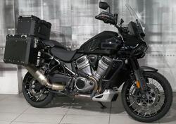 Harley-Davidson Pan America 1250 (2020 - 25) usata