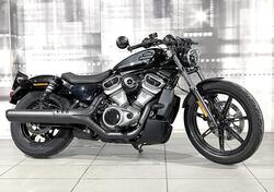 Harley-Davidson Nightster (2023 - 25) usata