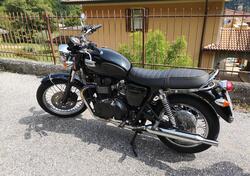 Triumph Bonneville (2007 - 16) usata