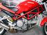 Ducati Monster 800 (2003 - 05) (9)