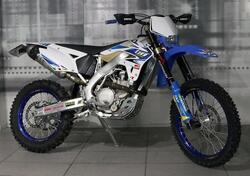 Tm Moto EN 250 F ES (2008 - 09) usata