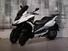 Quadro QV3 350 (2018 - 19) (7)