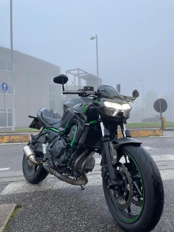 Kawasaki Z 650 (2021 - 24)