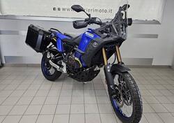 Yamaha Ténéré 700 World Raid (2022 - 25) usata