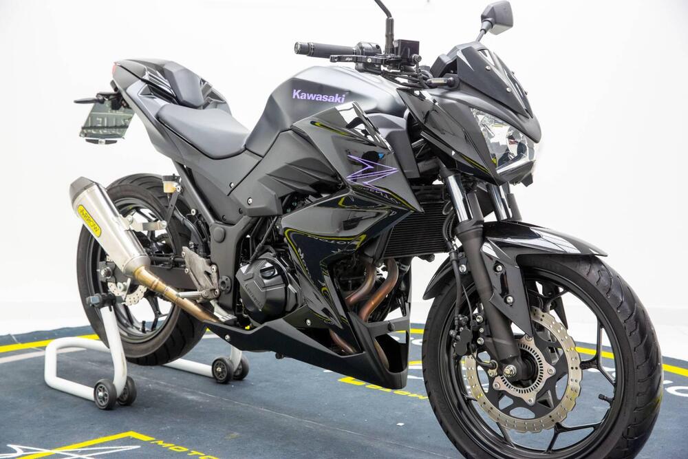 Kawasaki Z 300 ABS (2015 - 16) (2)