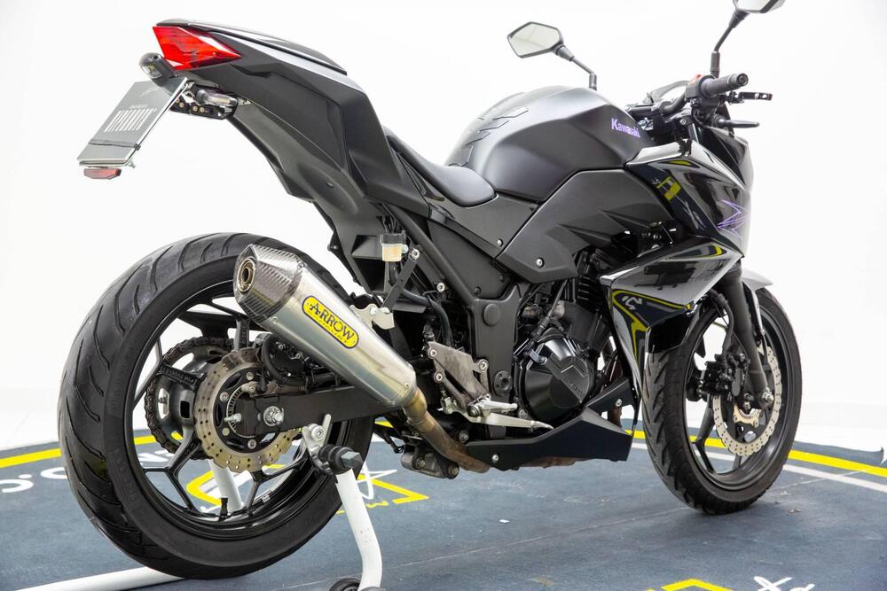 Kawasaki Z 300 ABS (2015 - 16) (4)