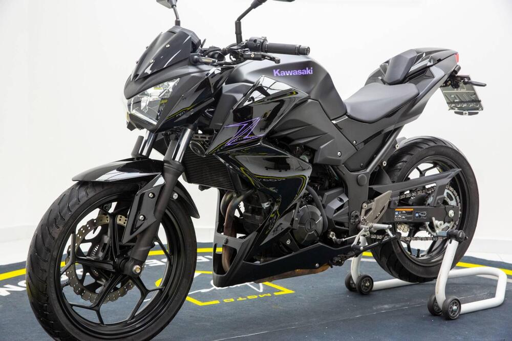 Kawasaki Z 300 ABS (2015 - 16) (3)