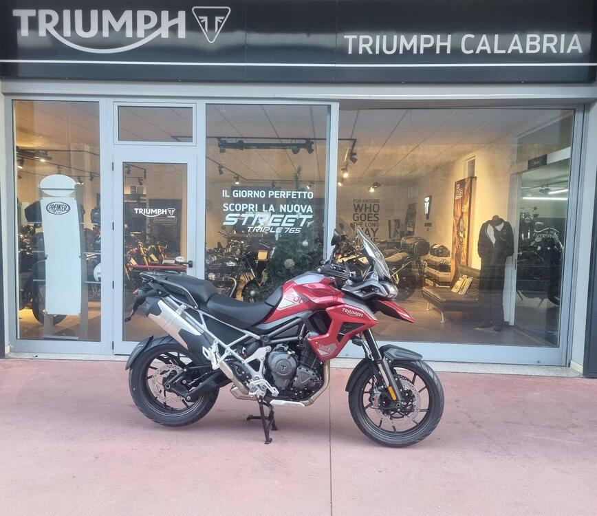 Triumph Tiger 1200 GT Pro (2024) (3)