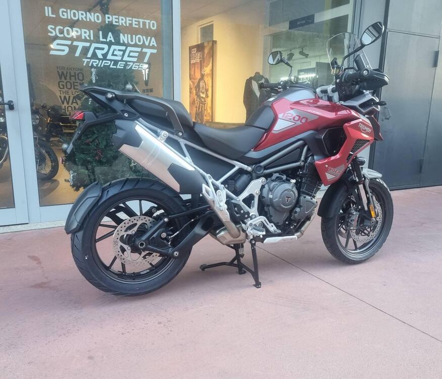 Triumph Tiger 1200 GT Pro (2024) (4)