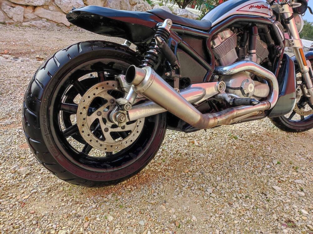 Harley-Davidson 1130 Street Rod (2005) - VRSCR (5)