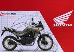 Honda Transalp XL750 (2023 - 24) nuova