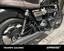 Triumph Bonneville T120 Gold Line Edition (2022 - 23) (7)