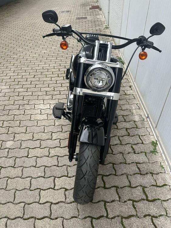 Harley-Davidson 107 Slim (2018 - 20) - FLSL (3)