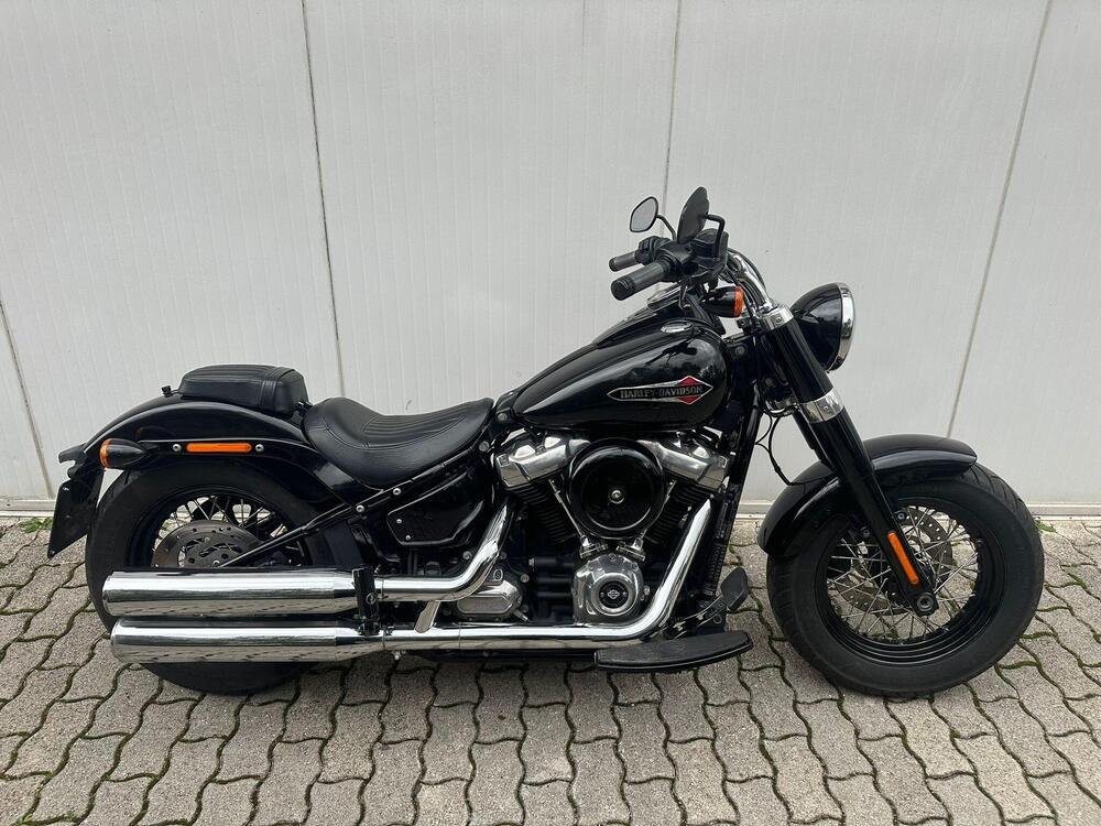 Harley-Davidson 107 Slim (2018 - 20) - FLSL (2)