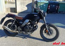 Brixton Motorcycles Felsberg 250 (2021 - 24) usata